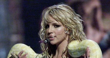 Britney Spears Says She Is on ‘Spiritual Journey’ Following DUI Plea Deal, Posts Photo of a Snake