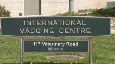 Saskatoon researchers in ‘very early stages’ of animal testing for hantavirus vaccine