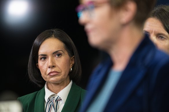 Education Minister Prue Car said there was zero tolerance for violence in NSW schools.