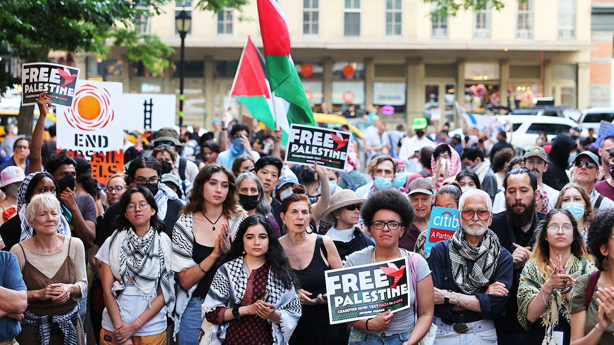 Crowd of protesters holding pro-Palestinian signs during a climate justice rally in New York City.
