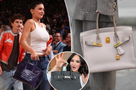 Fashionistas can rent a once-dare-to-dream Hermès Birkin bag — but outraged critics argue that it’s a pricey scheme