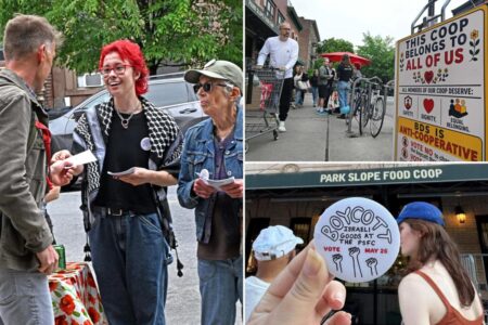 Park Slope Food Coop passes controversial Israel boycott in divisive, chaotic meet attended by over 7K members