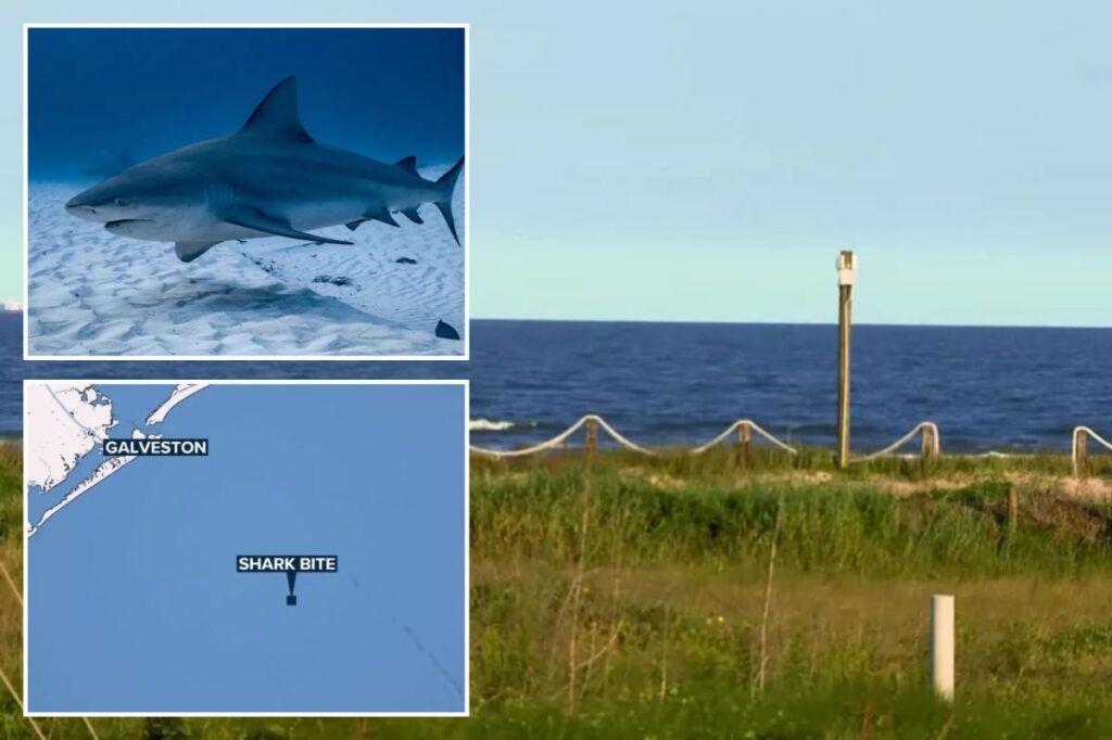 Shark takes a bite out of Texas teen fishing with dad on Memorial Day