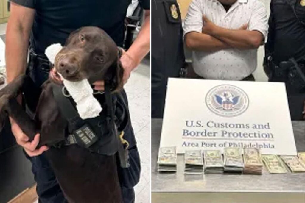 Airport police dog sniffs out and seizes $44K cash — now, TSA is warning passengers why
