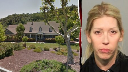 Families confront California 'party mom' in court, calling her a 'monster' who groomed their children