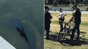 Former Olympian among those charged with vandalizing Reflecting Pool; Trump says basin must be drained: report