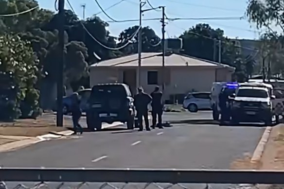 Police said officers hit the dog accidently. 