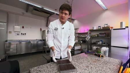 The world’s first cocoa-free ‘chocolate’ made from sunflower seeds