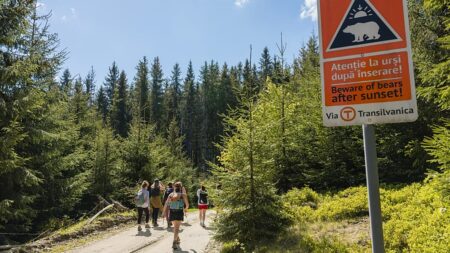 Why you should walk Romania's Via Transilvanica hiking trail in 2026