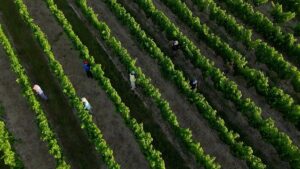France adapts as extreme heat becomes the new norm