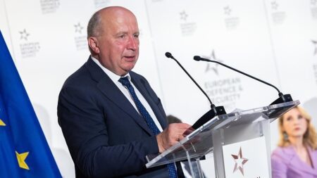 Europe should brace for ‘more’ attacks following 'murder': Kubilius