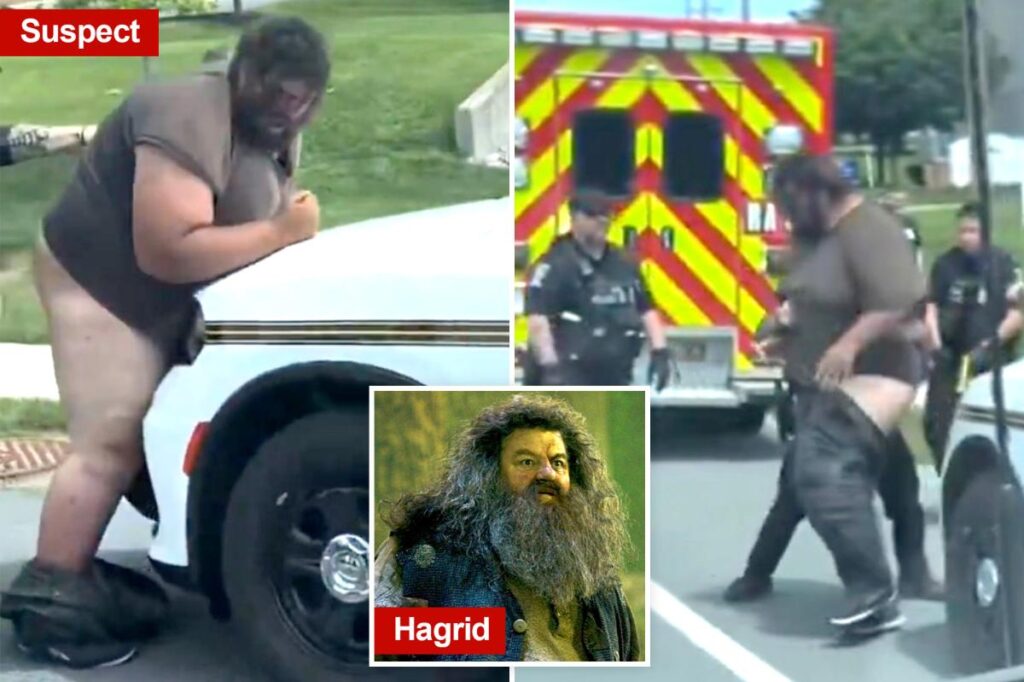 Bizarre moment Maryland police arrest giant suspect as his pants and underwear fall down in viral video