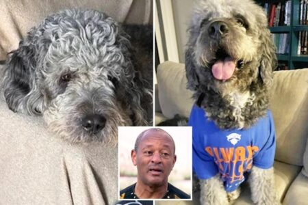 Insidious way cop-hating activists hijacked campaign for beloved dog executed during Knicks celebration