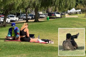 Seemingly perfect day at serene Los Angeles park hides disturbing reality