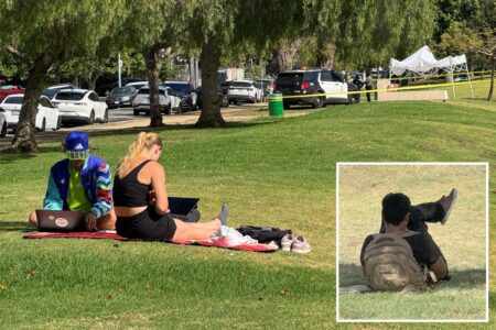 Seemingly perfect day at serene Los Angeles park hides disturbing reality