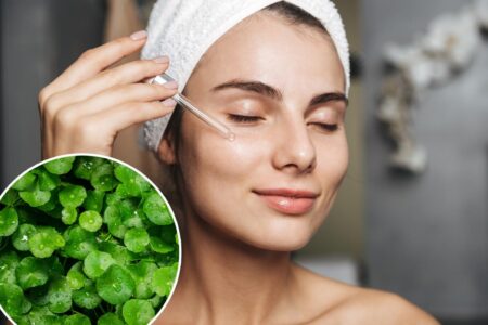 What is the ‘herb of longevity’? All about the trendy Korean skincare staple