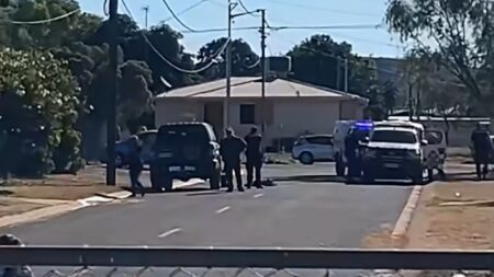 Queensland police shoot dog after hitting it with car in Mount Isa