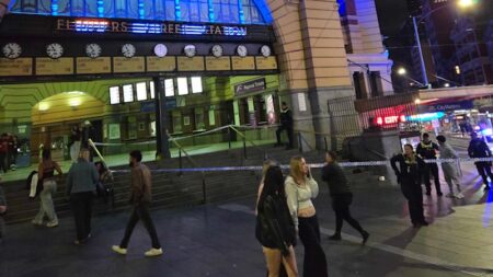 Man bailed after Flinders Street Station machete arrests; teenager charged over attack on homeless man in Bendigo was on bail