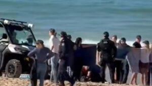 Coogee Beach shark attack: Woman in critical condition