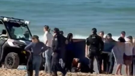 Coogee Beach shark attack: Woman in critical condition
