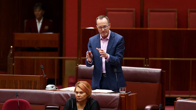 Parliament told what’s in secret Amex document