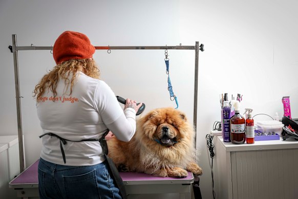 New Leash dog salon employee Louise with Desi the chow chow.