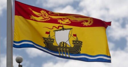Concerns raised about New Brunswick’s transition to new virtual health-care system