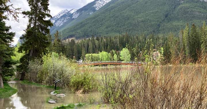 Alberta heavy rain will taper off to showers Tuesday: Environment Canada