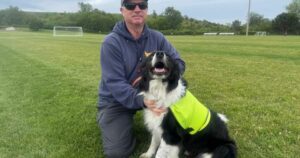 Specially-trained ‘bird dogs’ hired to clear geese from FIFA practice pitch