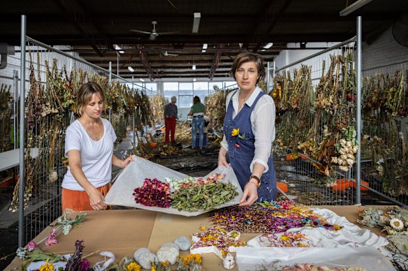 Senior curator Shannon Biederman and Melbourne artist Nina Sanadze have been commissioned to transform the flower tributes from the Bondi shooting into a permanent piece of art.  
