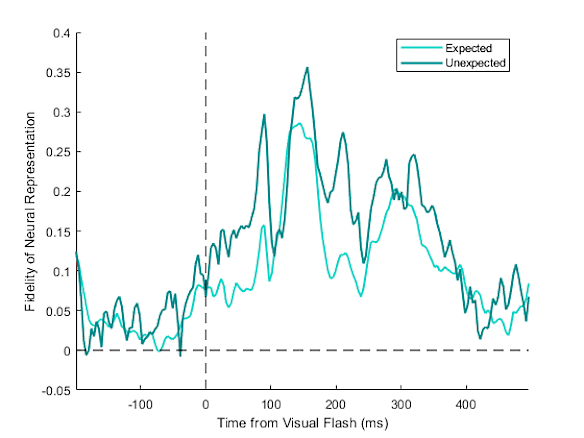The graph shows that unexpected “surprises” in the experiment  produced stronger neural signals in my brain (darker line).