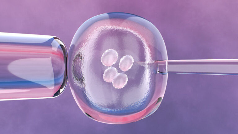 New legislation to increase scrutiny of clinics following embryo transfer scandals