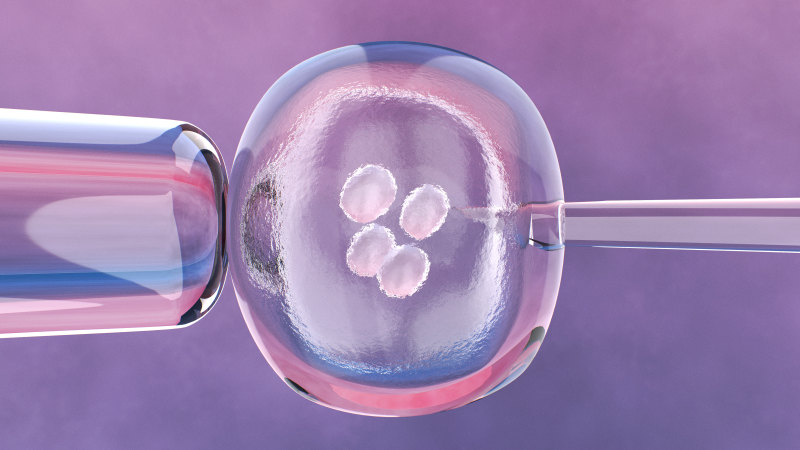 New legislation to increase scrutiny of clinics following embryo transfer scandals