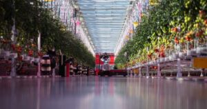 Why ramping up Canada’s indoor farming capacity may prove ‘difficult’