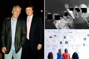 Jeffrey Epstein was obsessed with trying to take down Trump before suicide, report says