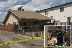 California mom charged with murdering toddler son and staging death as accidental drowning