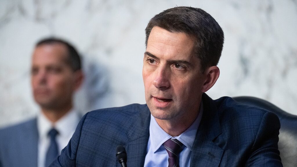 Sen Tom Cotton urges DOJ to probe Chinese bid to 'kneecap' American AI
