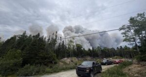 Wildfire northeast of Halifax being held, N.S. officials say