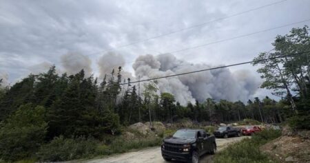 Wildfire northeast of Halifax being held, N.S. officials say