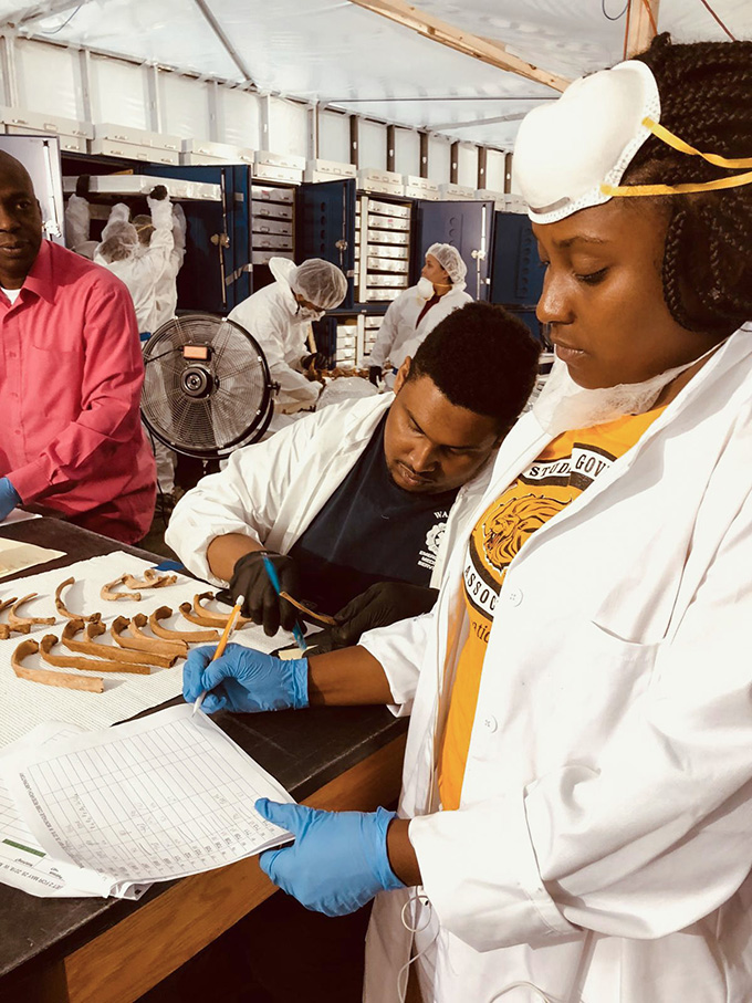 Howard University students examine skeletal remains from the 19th and 20th centuries for signs of cardiovascular diseases.