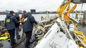 Geese flock blamed for Siemens CEO family crash in New York