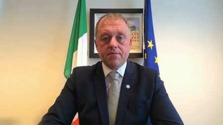 Video. Ireland 'ambitious' to open more negotiation chapters with Ukraine
