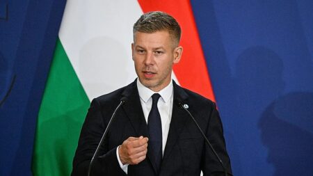 EU far right cries foul, Commission unfazed about Magyar's purgatorium