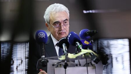 ‘Big mistake to believe we're off the hook in Europe and beyond’ – IEA