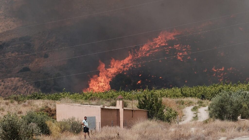 Majority of 12 victims of Spain wildfires believed to be foreigners