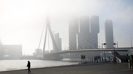 Two trams collide on Rotterdam's Erasmus Bridge, injuring 15