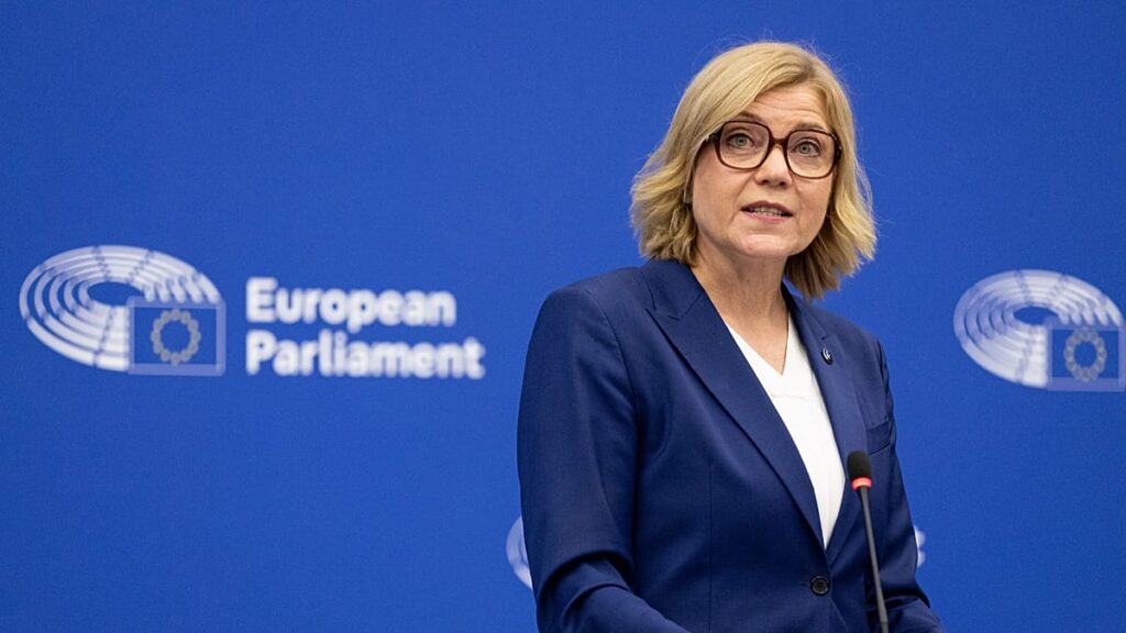 Fact check: Is the EU planning to censor access to the Internet?