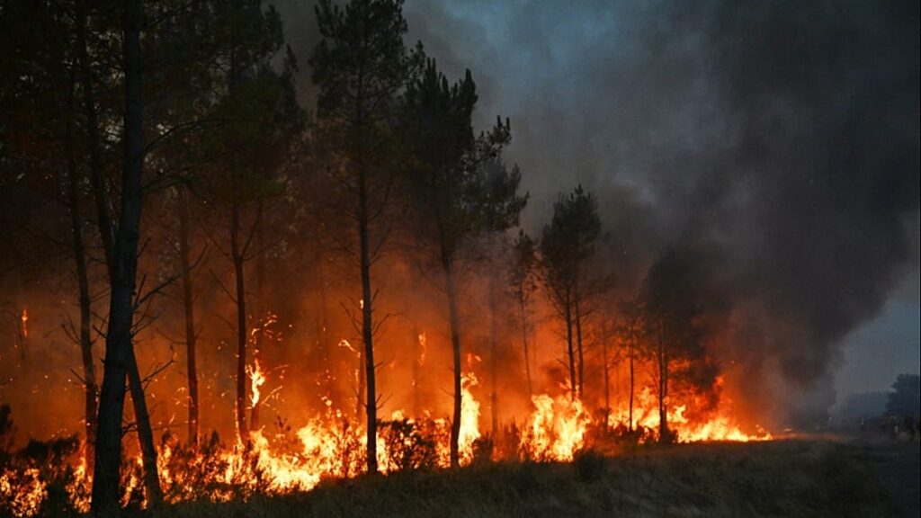 Thousands evacuated as heatwave related fires grip France and Spain