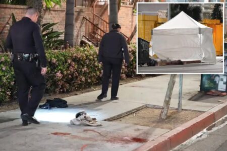 Exclusive | Horrifying truth behind death of man who cut off his penis in bloody downtown LA meltdown