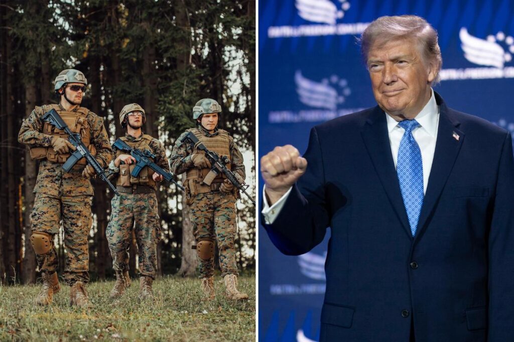 Exclusive | The US military under President Trump is winning the war — in the bedroom, Pentagon data reveals
